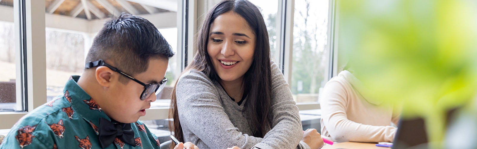 Special Education and Section 504