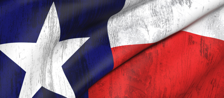 /getattachment/00013096-e2f3-4a77-b0c7-725b44b477d6/History-of-Texas-Public-Education_v2.png?lang=en-US&amp;ext=.png